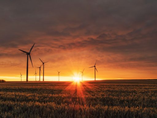 windmill on grass field during golden hour