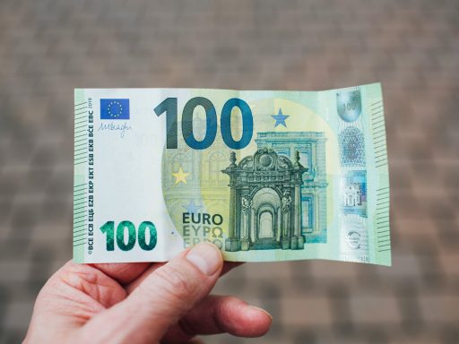 person holding 50 euro bill