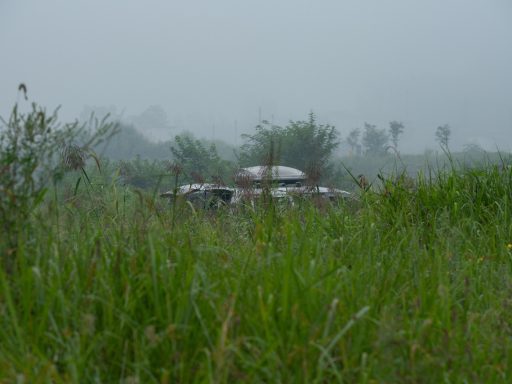 Gezin op een groene camping in de Belgische natuur met tent en picknicktafel in de zomer