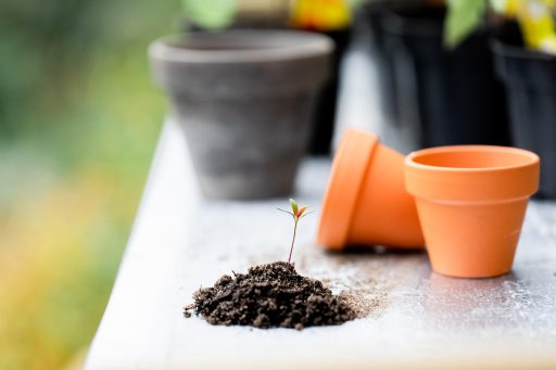 Een kleine tuin met verhoogde moestuinbak, grindpad en kleurrijke bloemen, aangelegd met een klein budget