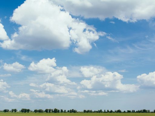 grass field at daytime