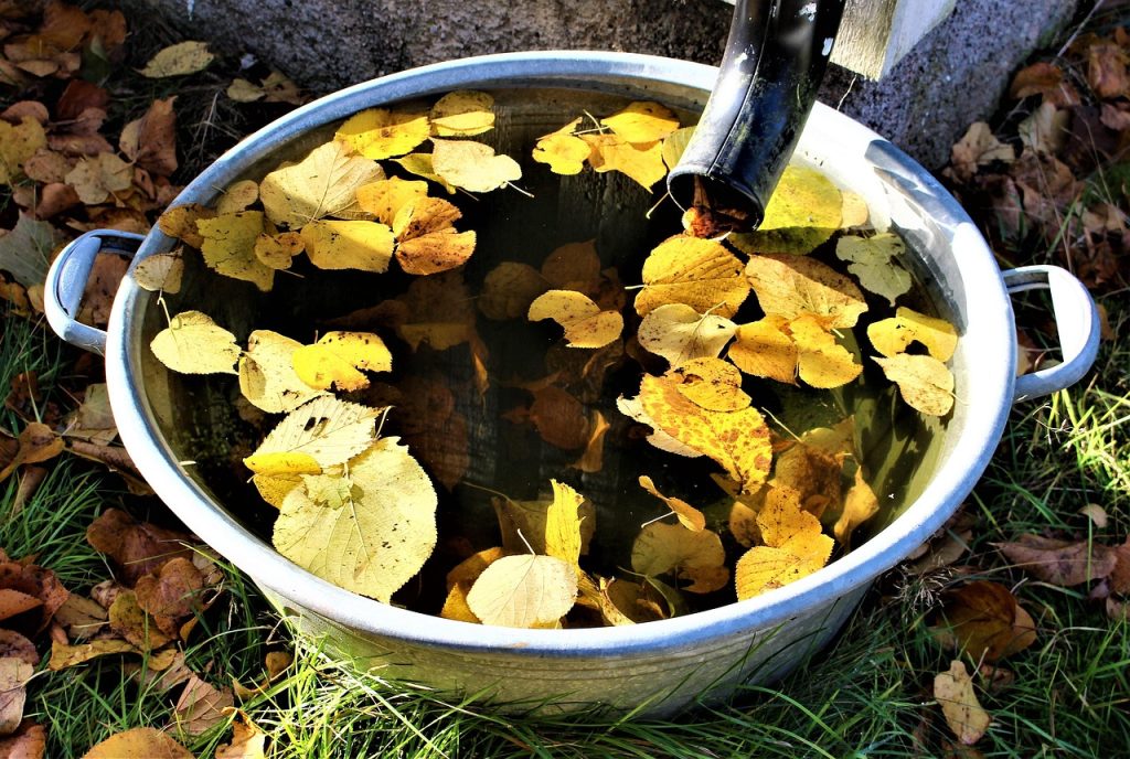 Regenton aangesloten op een regenpijp in een groene tuin