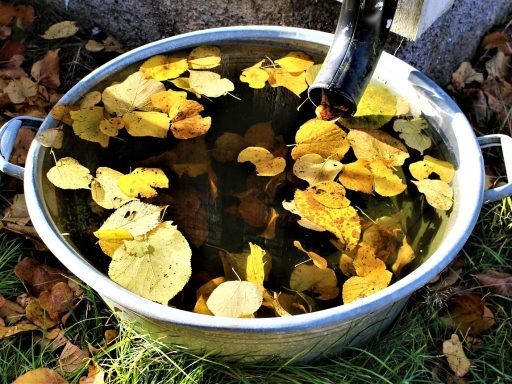 Regenton aangesloten op een regenpijp in een groene tuin