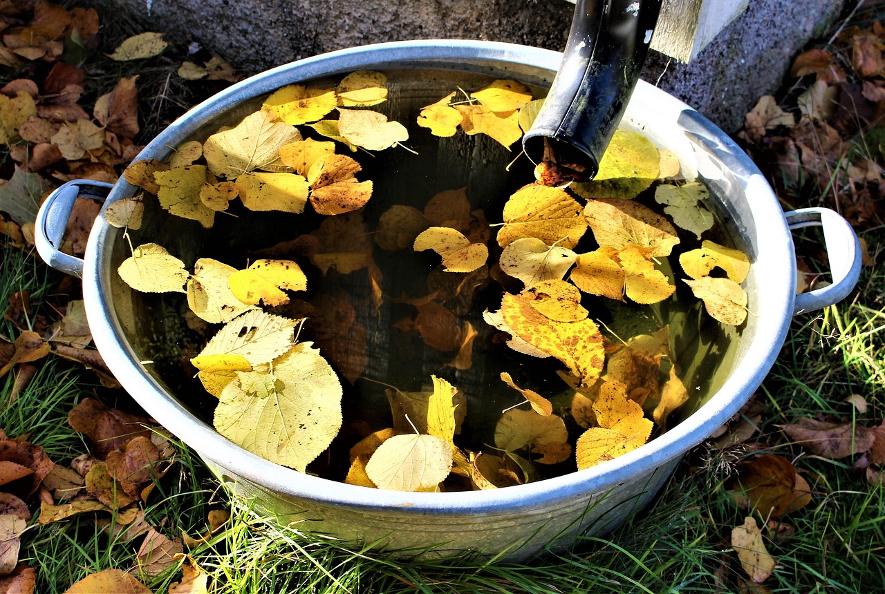 Regenton aangesloten op een regenpijp in een groene tuin