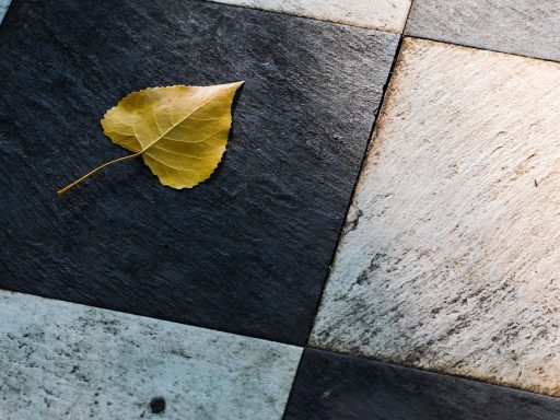 Vloertegels in verschillende formaten en kleuren in een bouwmarkt