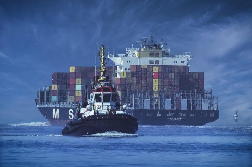 Een blauwe zeecontainer geplaatst in een achtertuin naast een woning