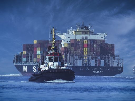 Een blauwe zeecontainer geplaatst in een achtertuin naast een woning