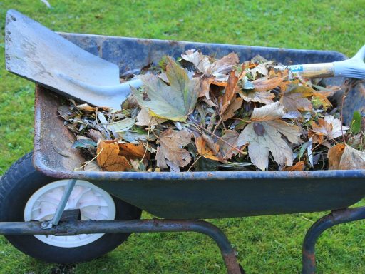Een houten compostbak gevuld met herfstbladeren in een Belgische tuin